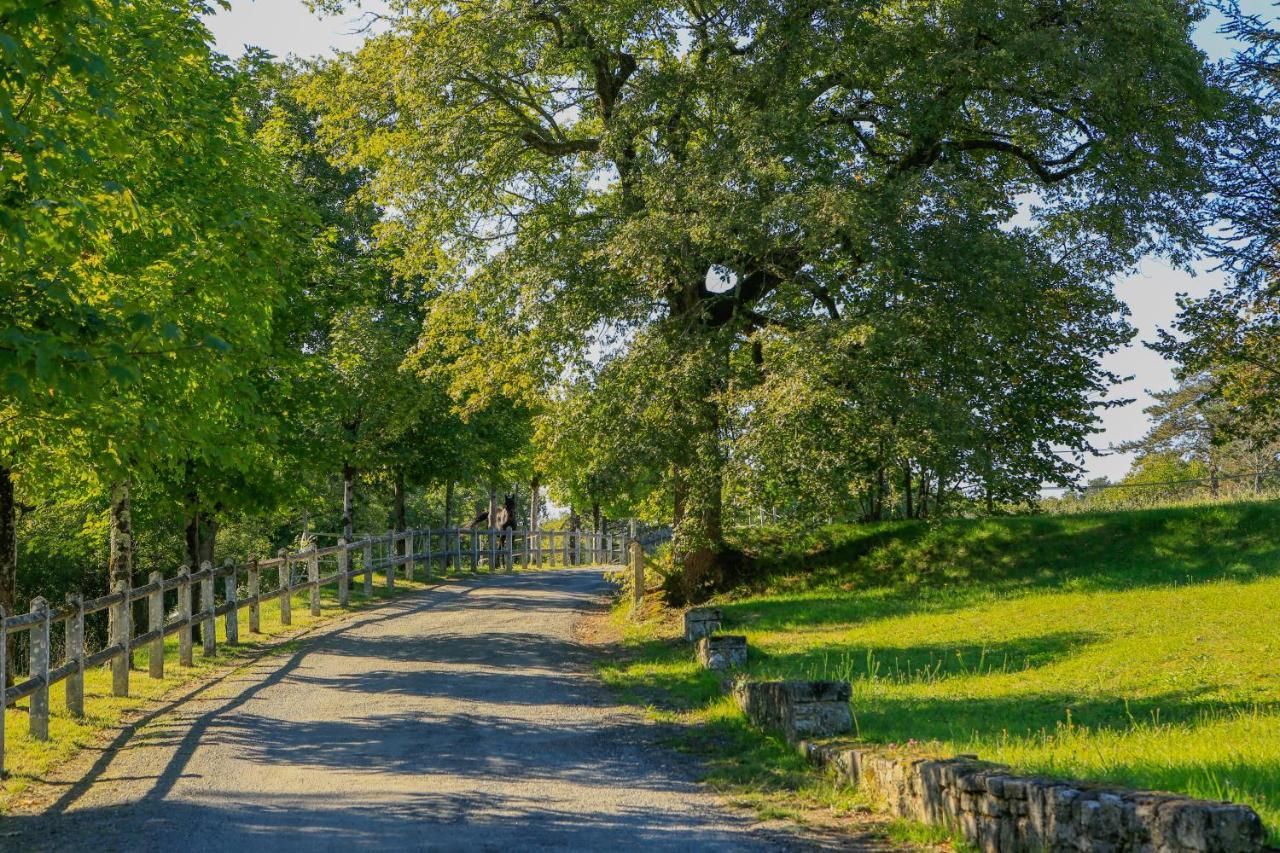 Logis Hotels Domaine Du Chatelard Dirac Zewnętrze zdjęcie