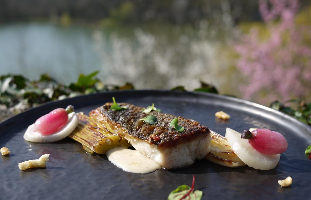 Logis Hotels Domaine Du Chatelard Dirac Zewnętrze zdjęcie